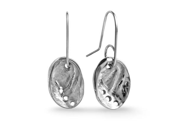 Baby Paua Earrings - Sterling Silver