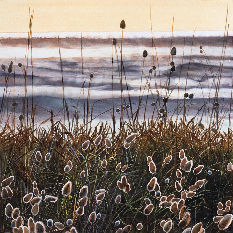 Beach Grasses at Sunrise - Framed