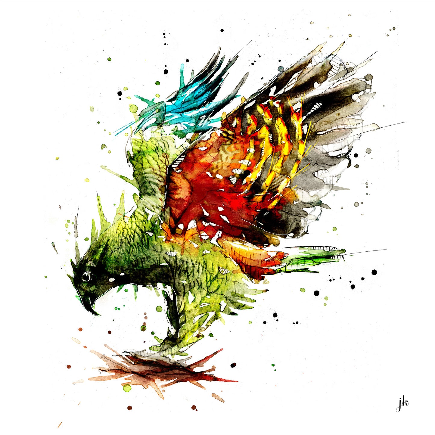 Kea - Open Edition Print - Unframed