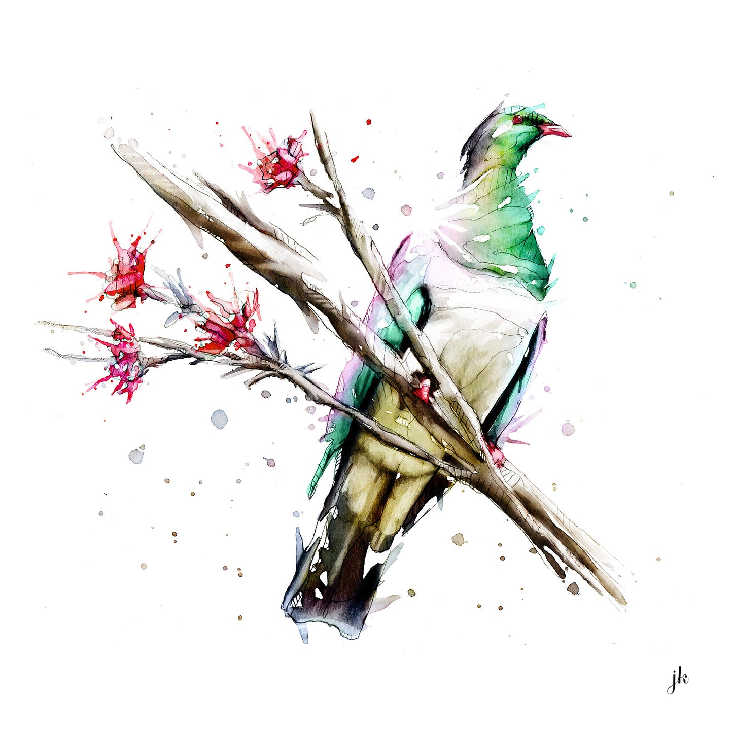 Kereru - Limited Edition Print - Framed