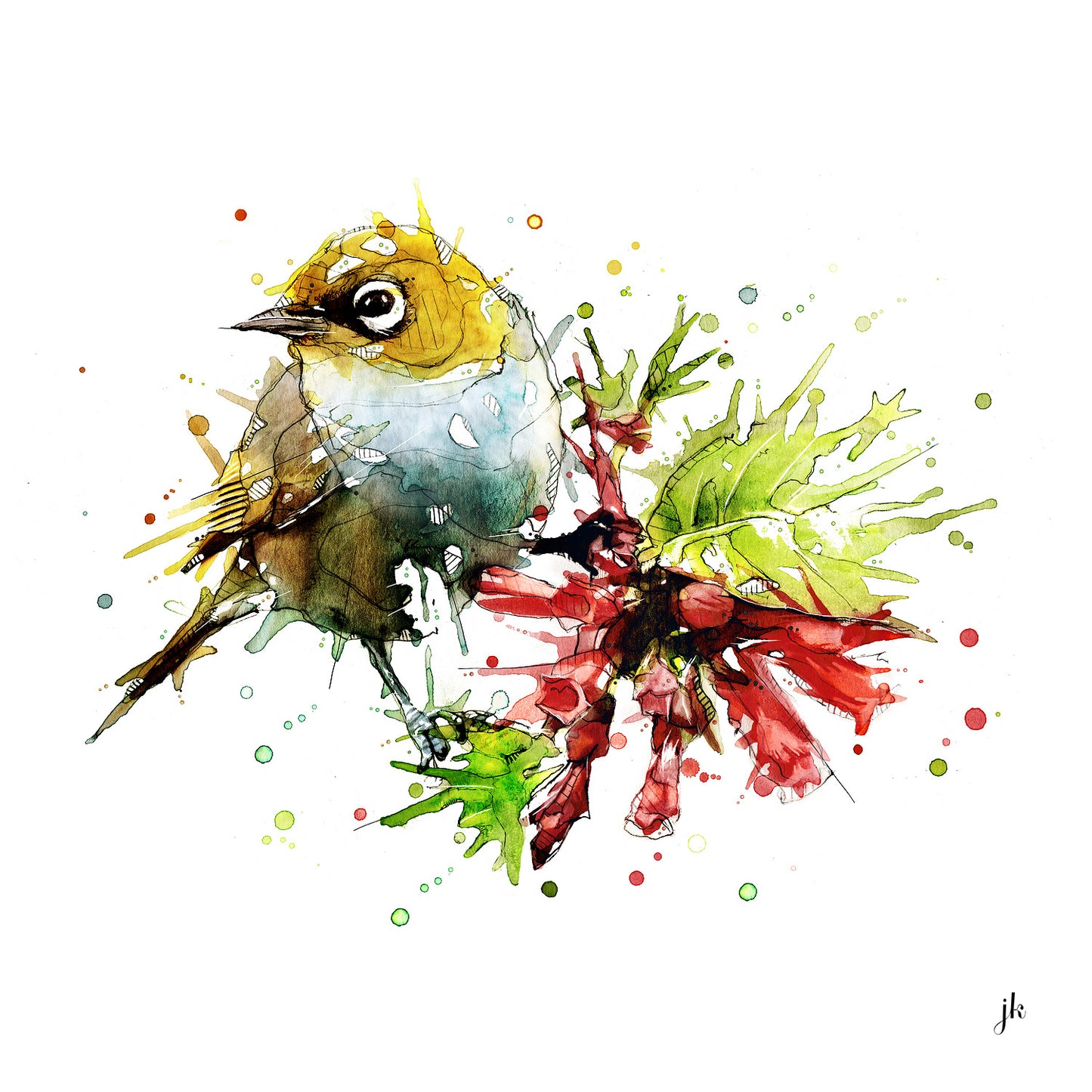 Silvereye - Open Edition Print - Framed